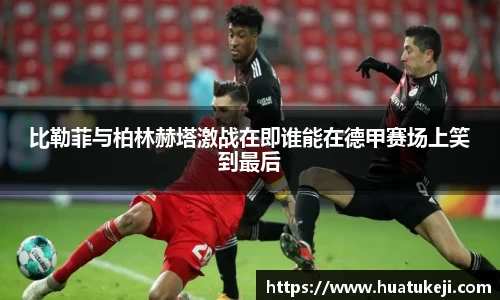 威廉williamhill中文官网